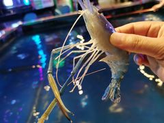 -钳真多钓虾馆·小龙虾海鲜烧烤(九六广场店)