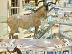 -红星美凯龙北京至尊MALL(东四环中路店)