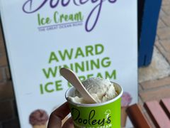 -Dooley's Premium Ice Cream