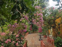 -国家植物园南园