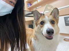 -谐和贝康宠物医院24小时·宠保定点(急重症转诊中心)
