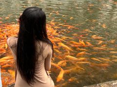 -楠溪江风景名胜区