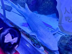 -顺德南宏海立方海洋公园