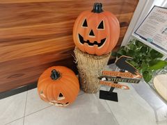 -齐玉齿科JADENTAL