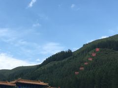 -塞罕坝国家级自然保护区