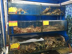 水产区-蚝专家(北滘店)