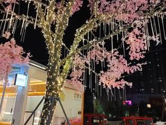 -首开·龙湖成都西宸天街