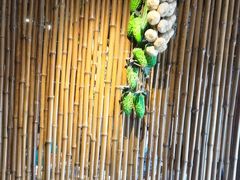-民俗村柴火灶·景德江西菜(中国陶瓷博物馆店)