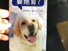 -宠颐生维康宠物医院(金丰店)