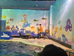 -太平洋海底世界