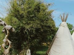 -太湖游船(石公山码头)