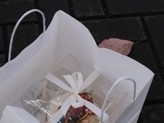 -HOLIDAY休日(后田垟巷店)