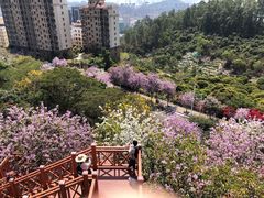 -小南山公园
