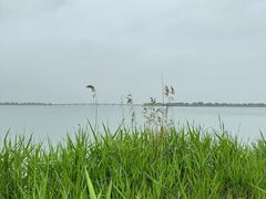 -漕湖湿地公园