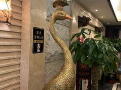 -樱蘭全息养生馆(三里屯店)