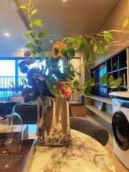 -禧月荟S月子中心(侨城店)