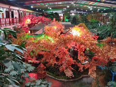 -老山东·山东菜(鲁菜名店)