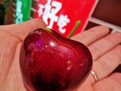 -百果园PAGODA(玄武成贤街店)