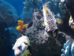 -多彩贵州城极地海洋世界