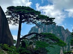-黄山风景区