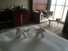 iphone_upload_pic-常州环球恐龙城维景国际大酒店