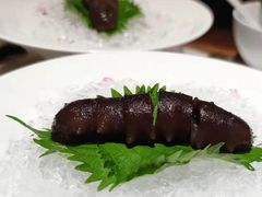 -觀芷隐轩
