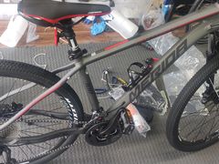 -道路口单车爱瓦士dahon大行