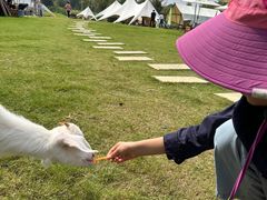 -天目湖涵田度假村