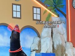 -重庆欢乐海底世界