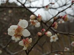 -水濂山水库景点停车场