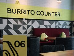 -油梨树 AVOCADO TREE(亮马桥店)
