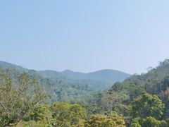 -野象谷景区
