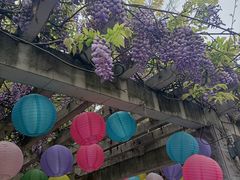 -花溪公园