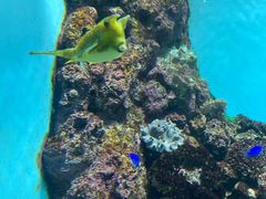 -鹿儿岛水族馆