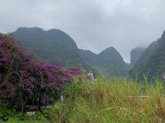-靖西鹅泉风景区