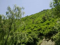 -九寨沟-树正沟