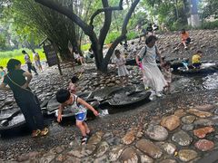 -成都市活水公园