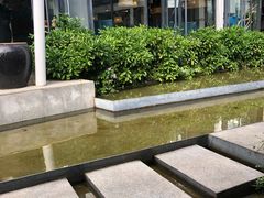 -大理老字号·舟渔的鱼野生菌海景餐厅(双廊店)