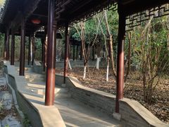 -八大山人梅湖景区