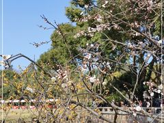 -无锡梅园公园