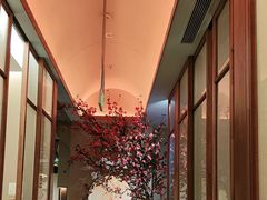 -觅唐MITONG(鸟巢店)