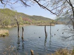 -玉渡山自然风景区