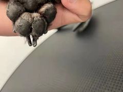 -comecome来吧宠物(奥克斯中心店)