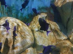 -临沂极地海洋王国