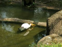 -吉隆坡雀鸟公园