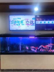 -北京叶子整形美容医院