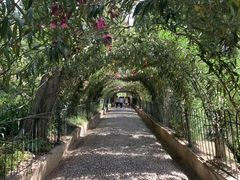 -阿尔罕布拉宫