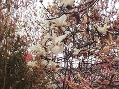 -天津盘山风景名胜区