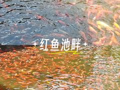 -横山寺