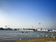 -烟墩角天鹅湖